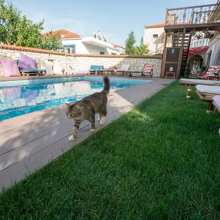Nobela Alaçatı