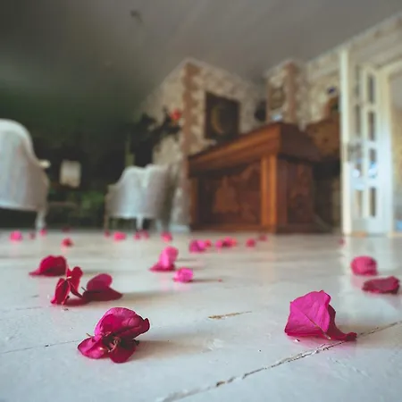 Nobela Hotell 2*